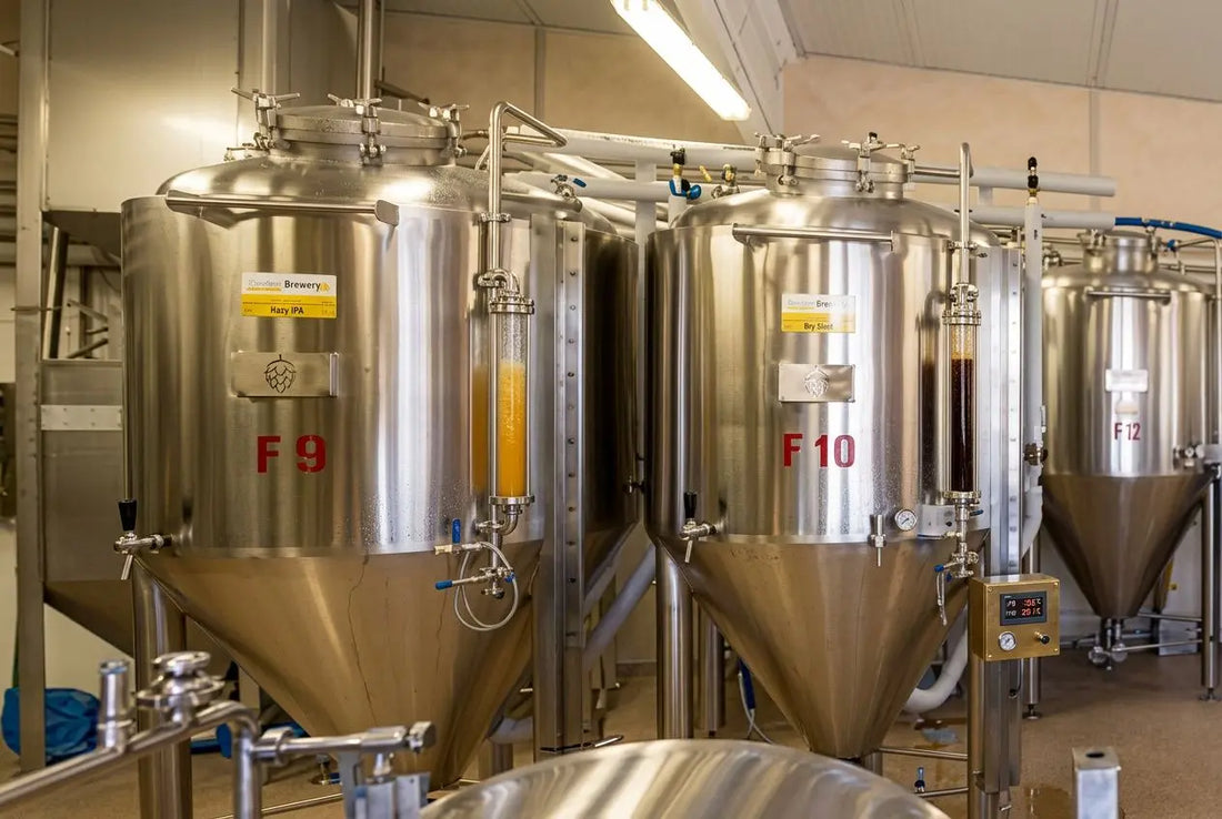 Tipi di birra artigianale: caratteristiche, stili e differenze tra birre