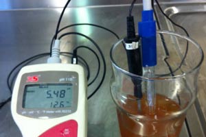 Come funziona la bollitura della birra artigianale