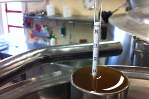 Temperatura di bollitura della birra artigianale